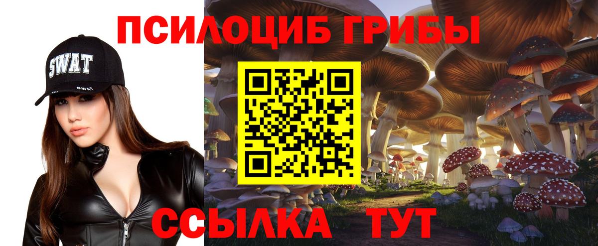 Псилоцибиновые грибы мицелий Великие Луки